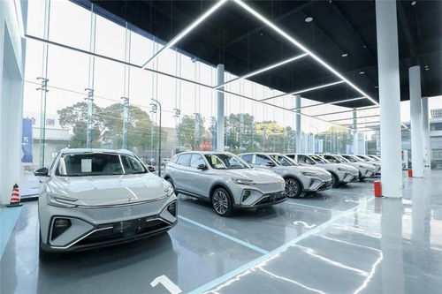 飛凡汽車的非凡服務 開啟高品質個性化汽車服務新體驗